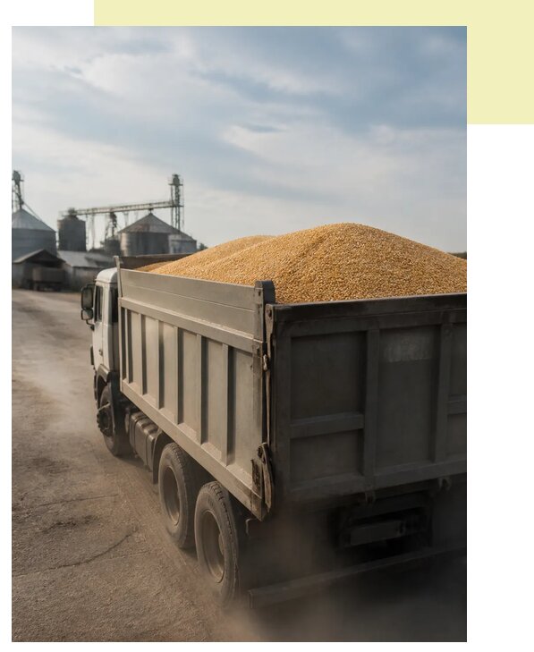 Перевозка сельхозпродукции навалом в Железногорск по цене от 3066 р. | Агросервис-Жлк